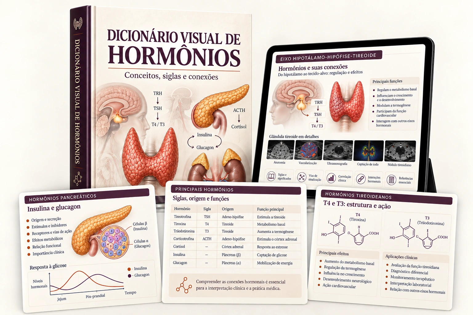 Dicionário Visual de Hormônios e Siglas
