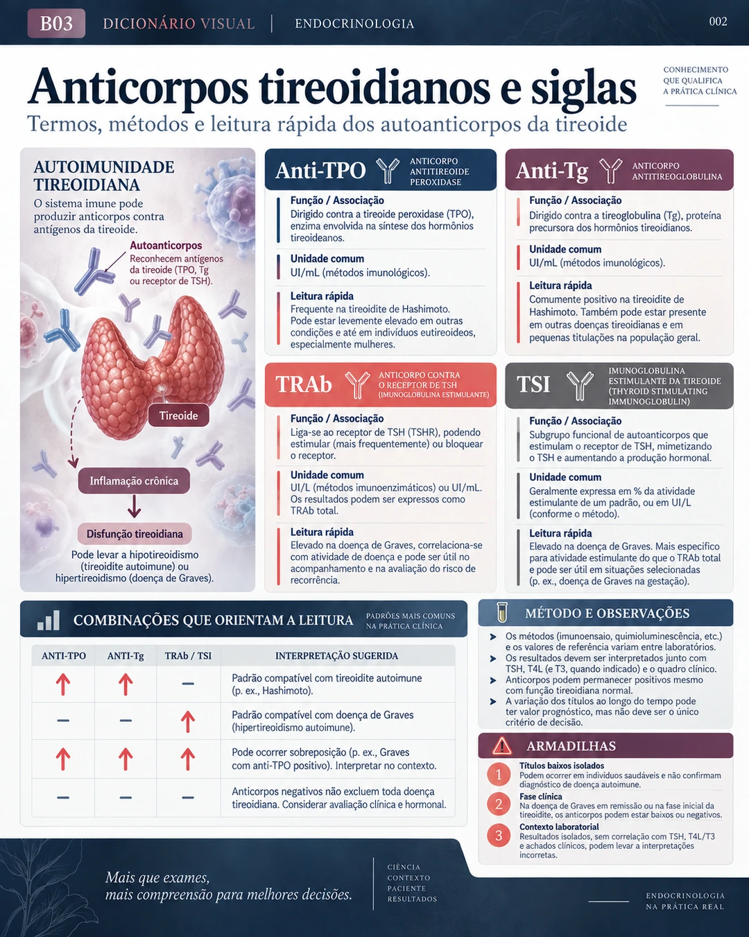Dicionário visual — página 2