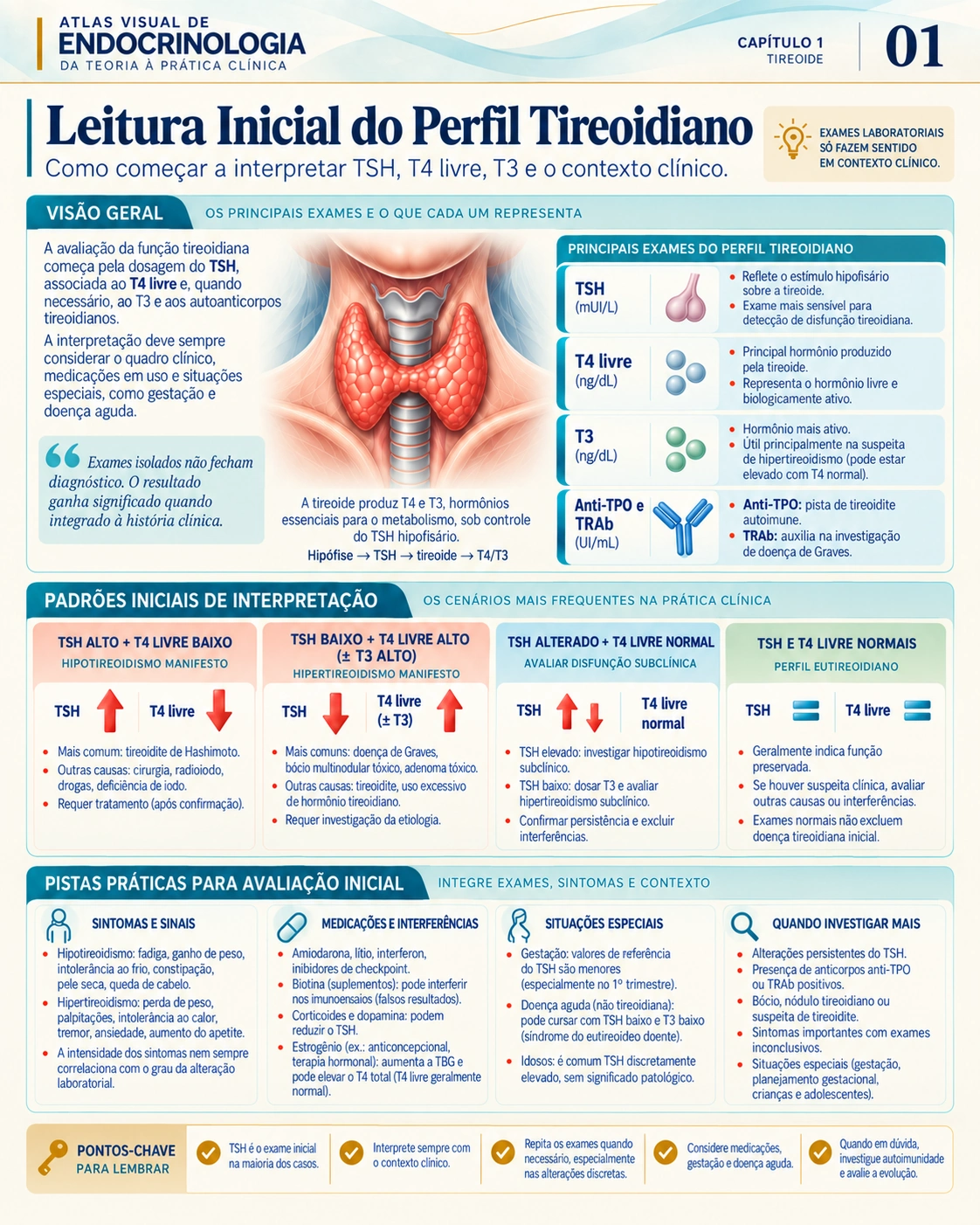 Perfil tireoidiano — Atlas Visual de Endocrinologia, página 1