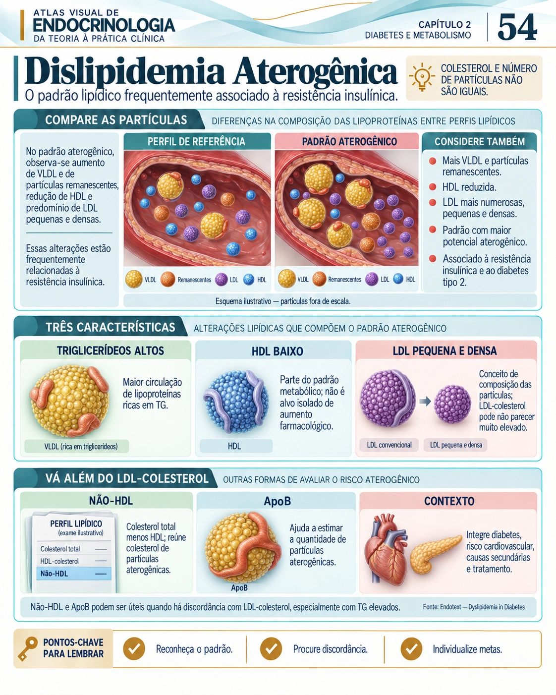 Avaliação metabólica — Atlas Visual de Endocrinologia, página 54