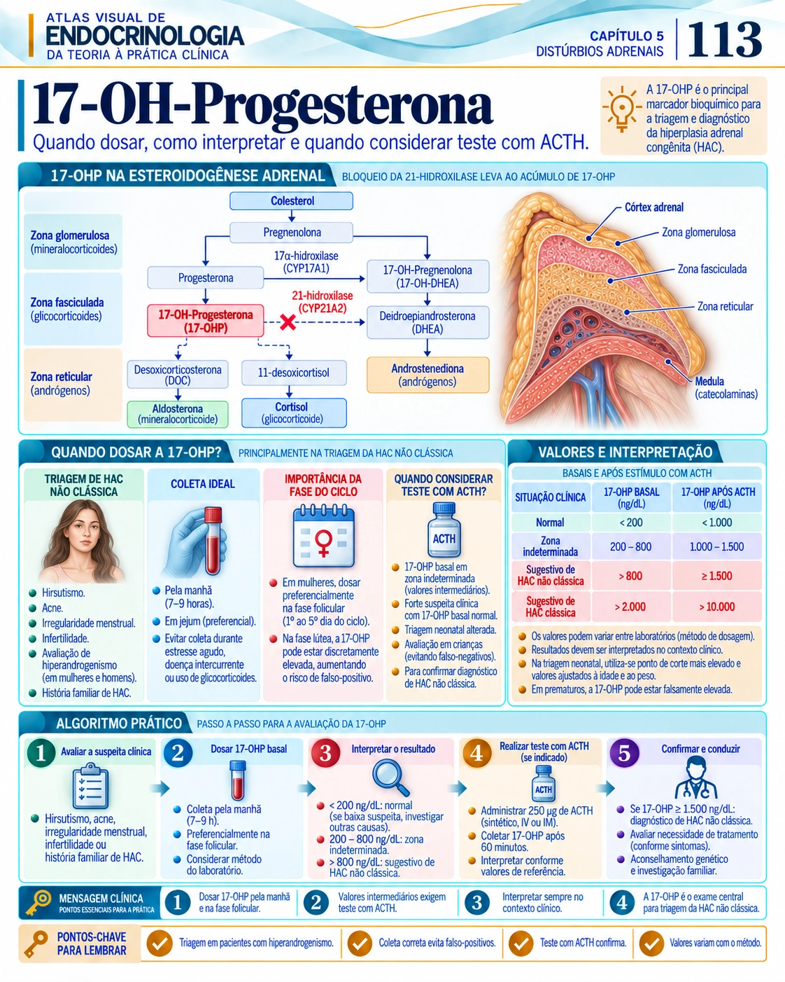 17-OH-progesterona — Atlas Visual de Endocrinologia, página 113