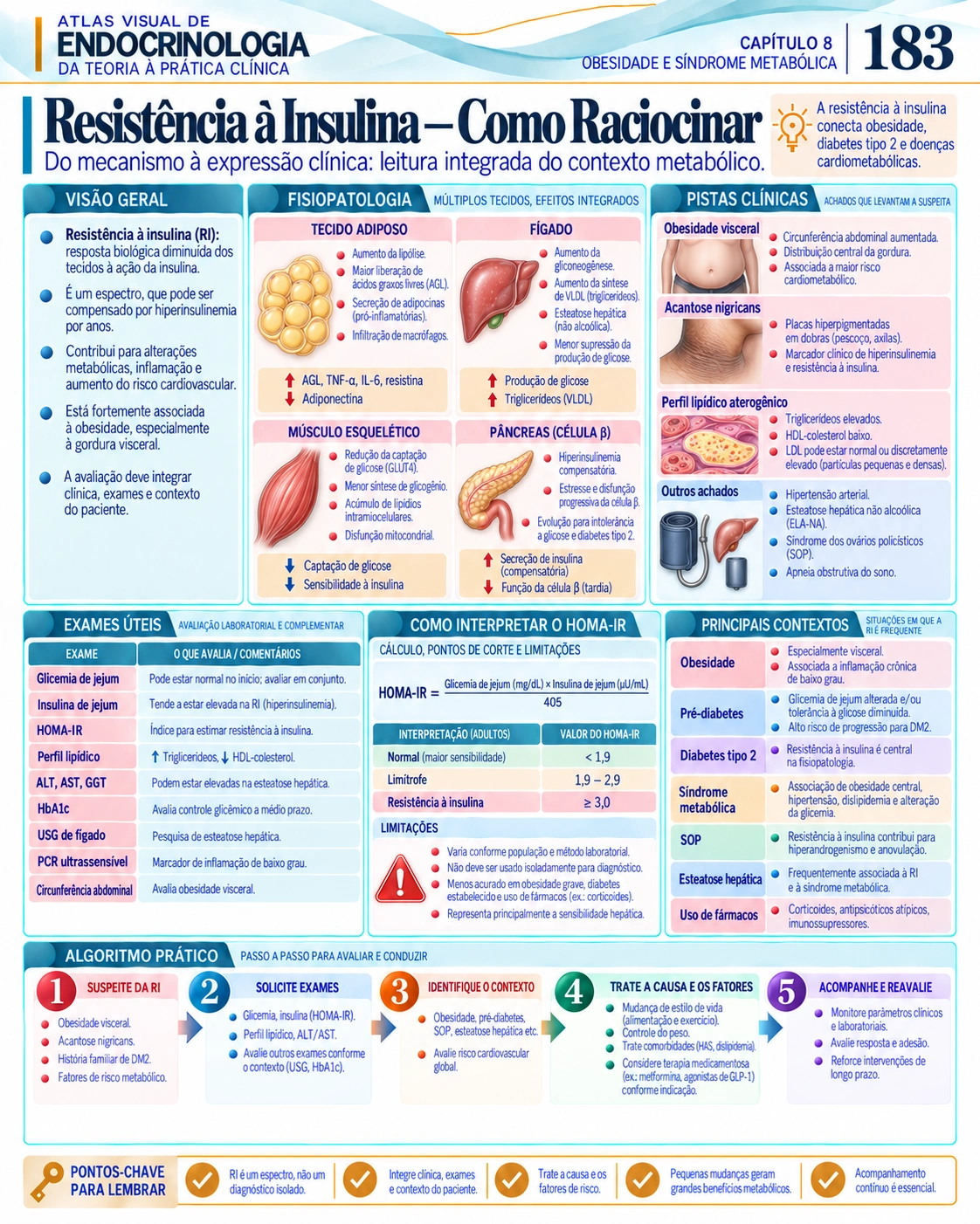 Resistência à insulina — Atlas Visual de Endocrinologia, página 183